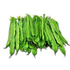 MONGETES TENDRES PERONA - KG